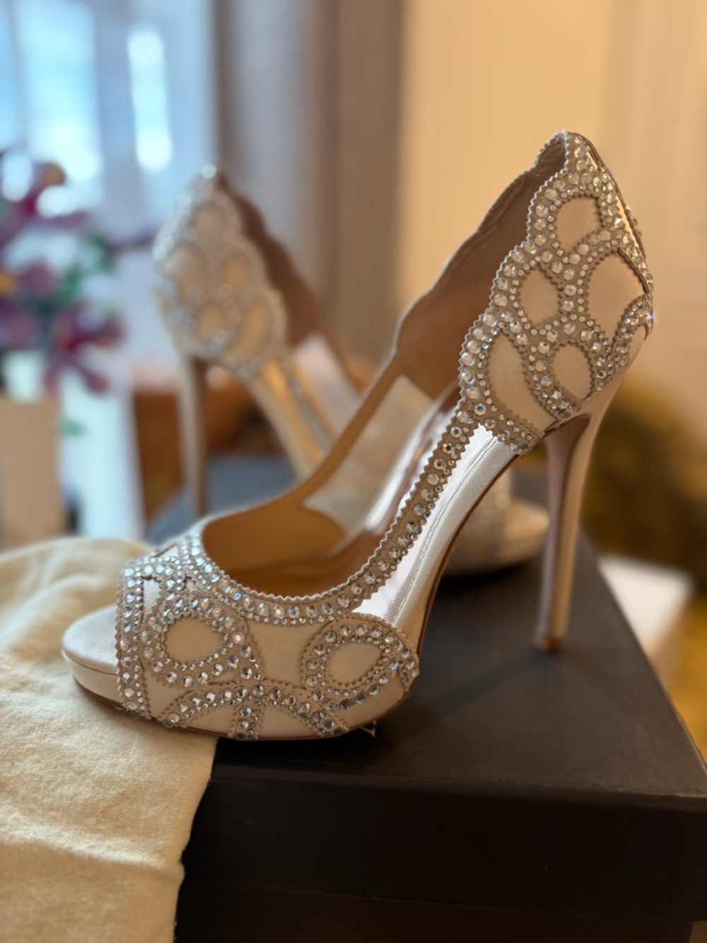 Badgley Mischka Ivory Crystal Embellished Peep-Toe Pumps - Picture 2 of 6